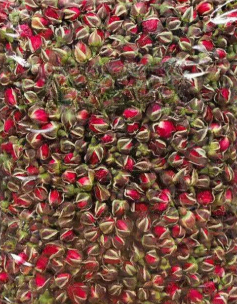 Mini Red Rose Buds - Candle Making Supplies - All Natural Dried