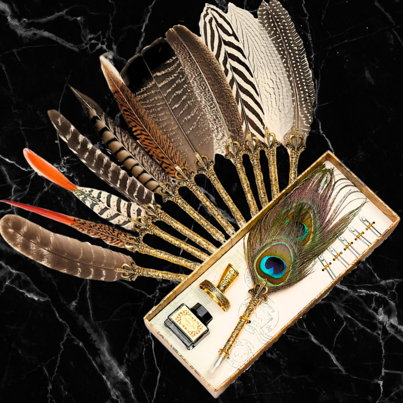 Quill Calligraphy Pen & Ink Sets