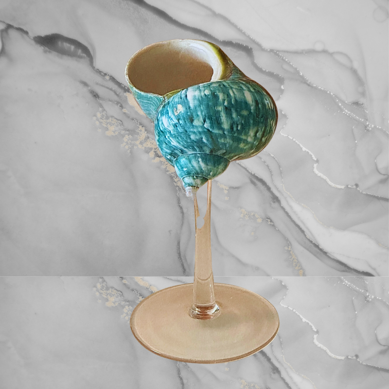 Azure Conch Shell - Acrylic Pedestal