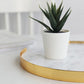 Full Circle Marble Tray - Oxide Green