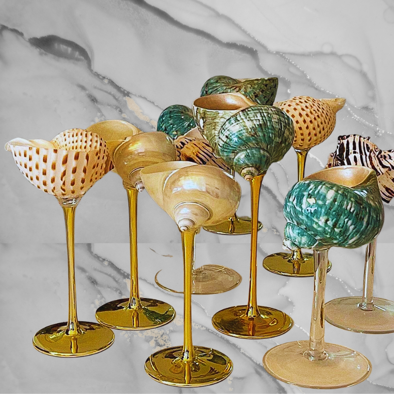 Spiral Conch Shell - Gold Pedestal