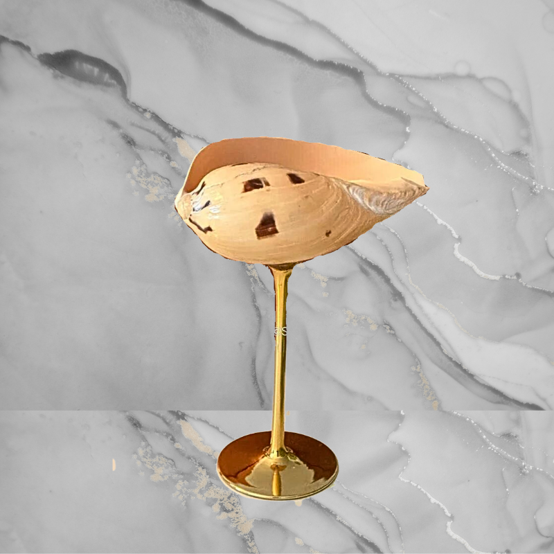 Speckled Conch Shell - Gold Pedestal