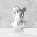 The David Vessel - Bust Sculpture - Large